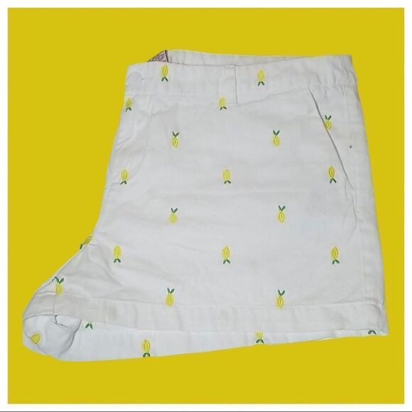 🍋 Merona Embroidered Lemon  Summer Fruits Shorts - Picture 1 of 6